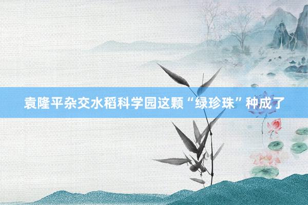 袁隆平杂交水稻科学园这颗“绿珍珠”种成了